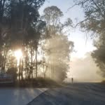 Hamish Swanson - @hamoswanson - Instagram