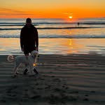 Hamish Young - @hamishgy - Instagram