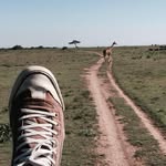 Hamish Younger - @hamish.younger - Instagram
