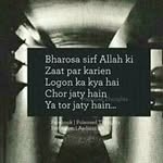 Hammad Hasan - @hammadhasan5259 - Instagram