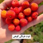 Hammad Hasan - Facebook