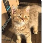 Hammad Ijaz - @itshammadijaz - Instagram