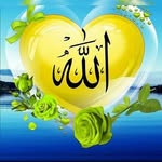 Hammad Khalid - @hammadkhalid786 - Instagram