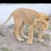 Hammad Malik - Facebook