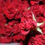 Hammad Maqsood - @hammad.maqsood.560 - Instagram