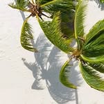 Hammad Mohsin - @hamma_d5698 - Instagram