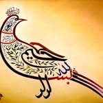 Hammad Mohsin - @raheela7860 - Instagram