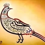 Hammad Mohsin - @hammadmohsin91 - Instagram