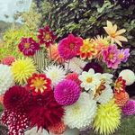 Hammad Rashid - @unknown__person__022 - Instagram