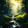 Hammad Shami - @hammad.shami2 - TikTok