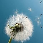 Hammad Zahid - @hammad.zahid.9887 - Instagram