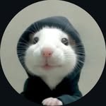 Hammad Zahid - @hammadzahidd_ - Instagram