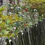 Beverley Hampshaw - @hampshawbeverley - Instagram