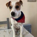 Stephanie Hampshaw - @hampshaw100 - Instagram