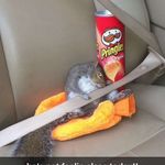 Hamp Smith - @thshampsmith - Instagram