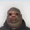 user9150161449309 - @evanhamptons - TikTok
