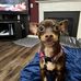 Hampton Hicks - Facebook