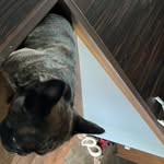 Wassupmy - @hamptonking997 - Instagram