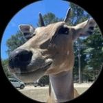 Hampton Miller - @hamptonmillre - Instagram