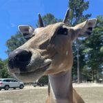 Hampton Miller - @hamptonmillr - Instagram