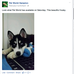 Pet World Hampton: Stop supporting Puppy Mills. - Facebook