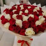 hamptonotis turner - @hampton.otis.turner766 - Instagram
