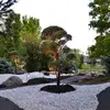 Hampton West Landscapes - @hamptonwestlandscapes - TikTok