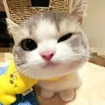 Hạ My - @hamyvo0308 - Instagram