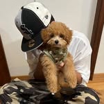 バレーアカウント - @hamy.volleyball - Instagram