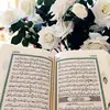 Hamza Abdi - @holyquran_3 - TikTok
