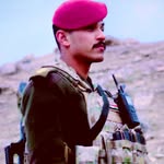 The Wolf - @hamza_al_lami - Instagram