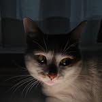 𝐻𝐴𝑀𝑍𝐴 𝐴𝐿𝐼 - @hamza__ally - Instagram