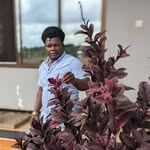 Hamza Ally - @hamzaally155 - Instagram