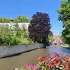 hamza.amor - @hamza.amor - TikTok
