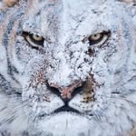 @hamza_azamat - Instagram