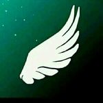 hamza badour - @badour.hamza - Instagram