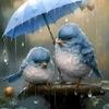 Hamza ball - @infal.hamza - TikTok