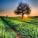 hamza _Brown - @hamza_brown - Instagram