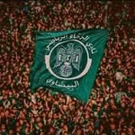 Hamza Hanafi - @hanafi_hamza - Instagram