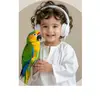 hamzailyas386 - @hamzailyas386 - TikTok