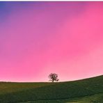 Hamza Lee - Facebook