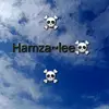 official Hamza Lee - @hamzalee1 - TikTok