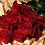 Hamza and Othman - @hamza_othman_2 - Instagram