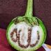 Hamza sattar - Facebook
