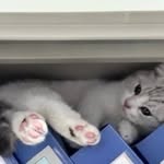 Han Ding - @ding.handing - Instagram