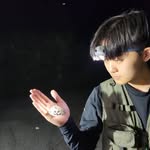 Han Hee - @lepido_evo - Instagram