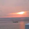 Han ho - @hanho.chang - TikTok