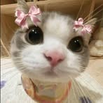 Han Hsu - Facebook