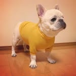 徐汉娇 - @hanjiao_xu - Instagram