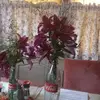 Teresa Hankee - @teresa.hankee - TikTok